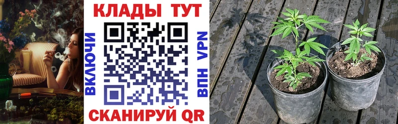 МЕФ Пестово