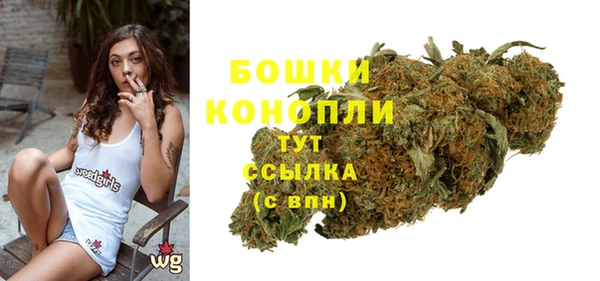 мяу мяу кристалл Гусь-Хрустальный