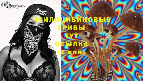 мяу мяу кристалл Гусь-Хрустальный