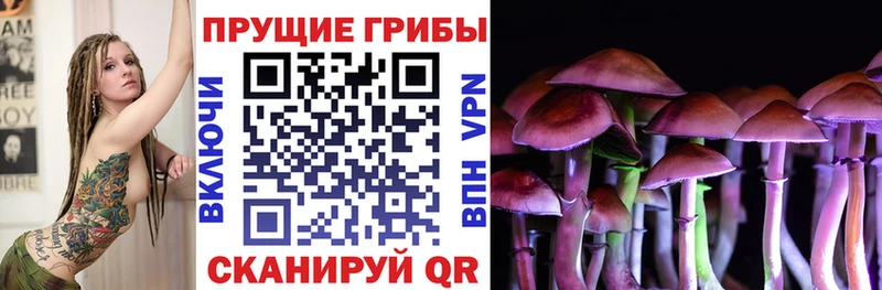 Галлюциногенные грибы Magic Shrooms  Купить где  Пестово 